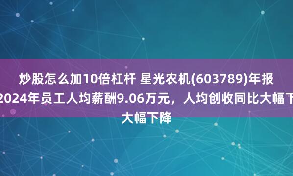 炒股怎么加10倍杠杆 星光农机(603789)年报：2024年员工人均薪酬9.06万元，人均创收同比大幅下降