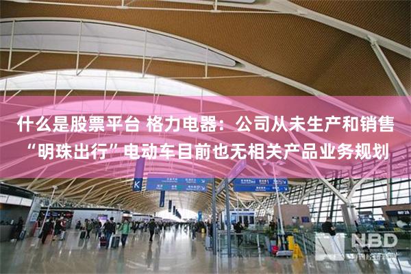 什么是股票平台 格力电器：公司从未生产和销售“明珠出行”电动车目前也无相关产品业务规划