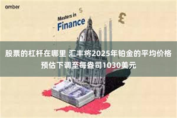 股票的杠杆在哪里 汇丰将2025年铂金的平均价格预估下调至每盎司1030美元