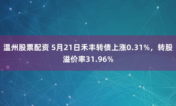 温州股票配资 5月21日禾丰转债上涨0.31%，转股溢价率31.96%