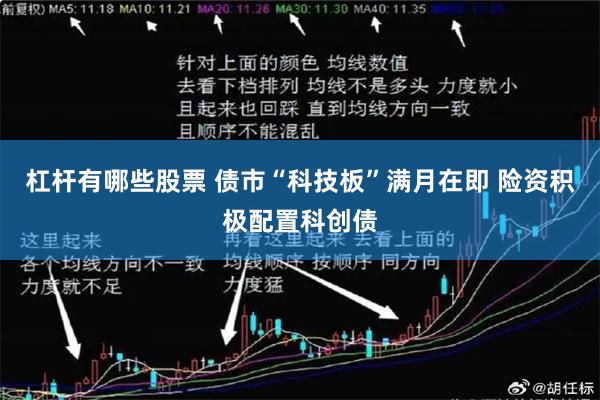 杠杆有哪些股票 债市“科技板”满月在即 险资积极配置科创债