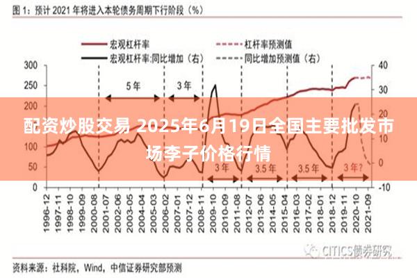 配资炒股交易 2025年6月19日全国主要批发市场李子价格行情