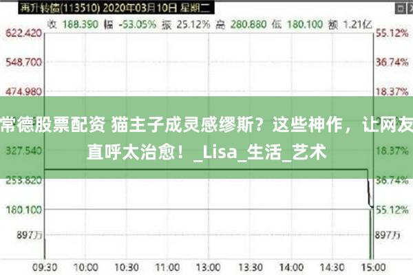 常德股票配资 猫主子成灵感缪斯？这些神作，让网友直呼太治愈！_Lisa_生活_艺术