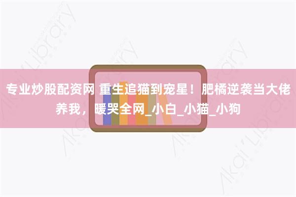 专业炒股配资网 重生追猫到宠星！肥橘逆袭当大佬养我，暖哭全网_小白_小猫_小狗