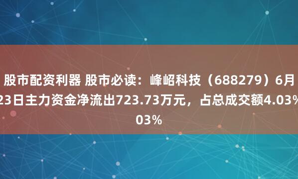 股市配资利器 股市必读：峰岹科技（688279）6月23日主力资金净流出723.73万元，占总成交额4.03%